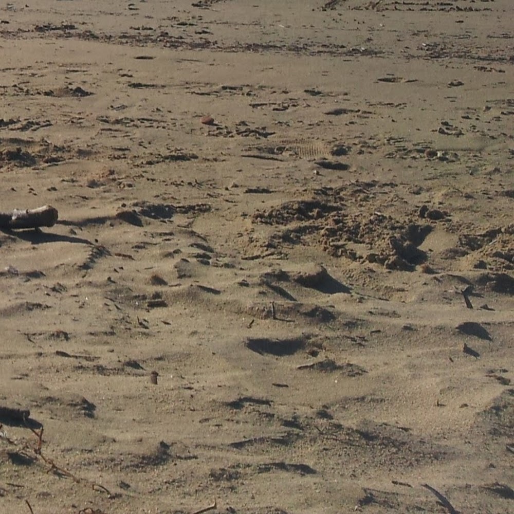 Meet your Posher, Li